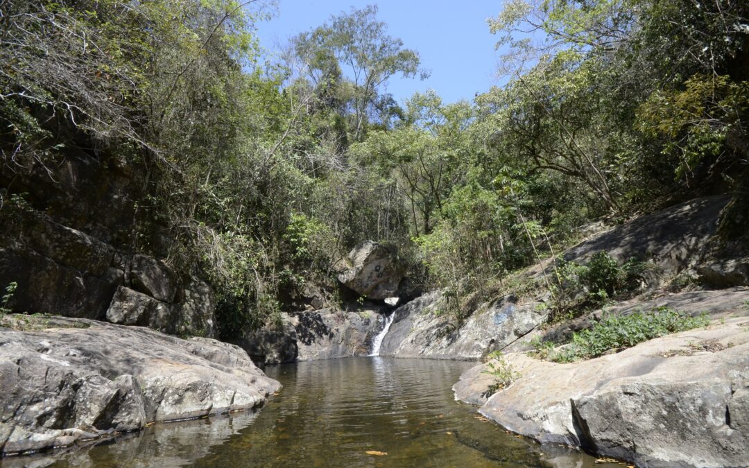 Parque Nova Iguaçu Natureza Água