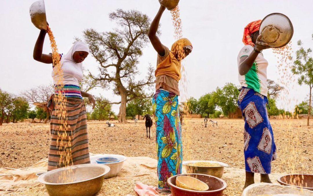 Africa, direitos, Baba Yetu, ComCausa, ONU, Portal C3, Defesa da Vida, negro