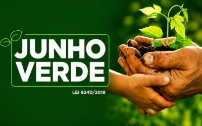 ComCausa adota Junho Verde em alinhamento ao Ministério do Meio Ambiente e destaca Tinguá como símbolo da preservação