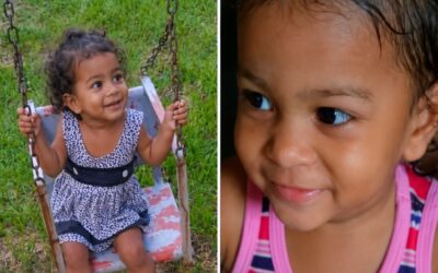 ComCausa lança Núcleo Maria Sophia Flora em agenda provocada também pelo aniversário da Lei da Alienação Parental